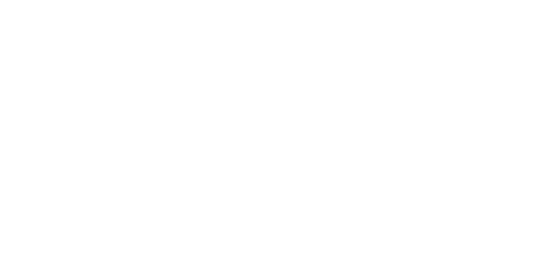 BlackFox Solutions